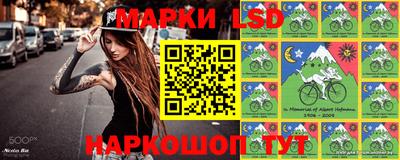 стаф Обнинск