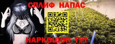 стаф Обнинск