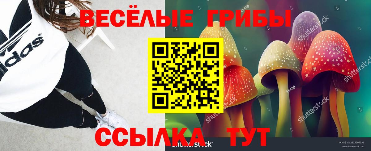 купить   Псилоцибиновые грибы MAGIC MUSHROOMS  Вход с VPN  Семилуки 